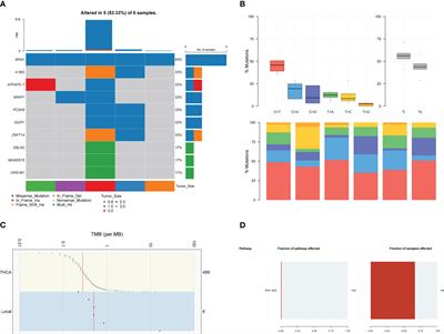 Insight of novel biomarkers for papillary thyroid carcinoma through multiomics